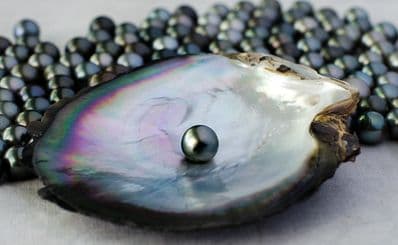 Candi's Jewelry & Gift Gallery