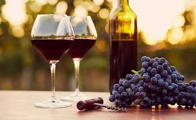 Page Springs Vineyard & Cellars