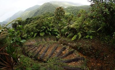 Waitukubuli National Trail