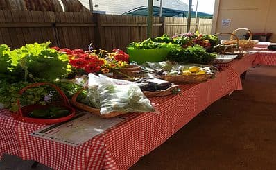 Dungog Local Growers Stall