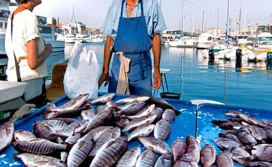 Vieux Port Fish Market