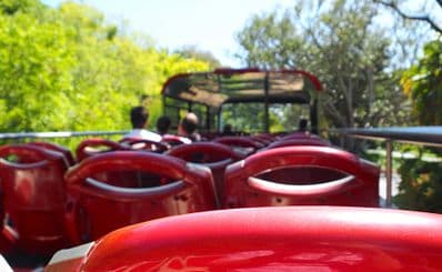 Public Transport