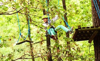 TreeTops Newcastle