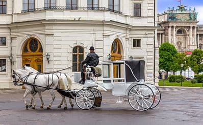 Horse Carriage Ride