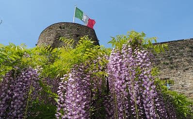 Rocca