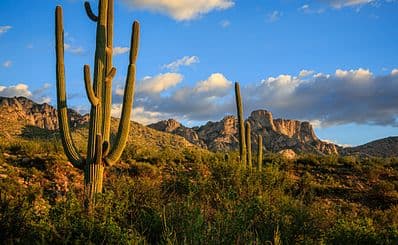 Catalina State Park