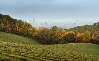 Vienna Woods