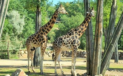Zoo and Botanical Garden