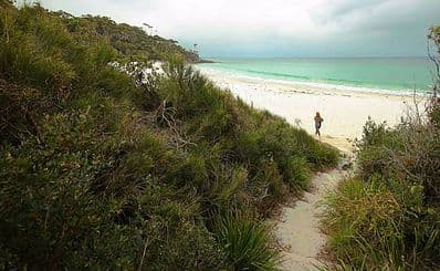 White Sands Walk and Scribbly Gum Track