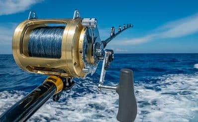 Sport Fishing