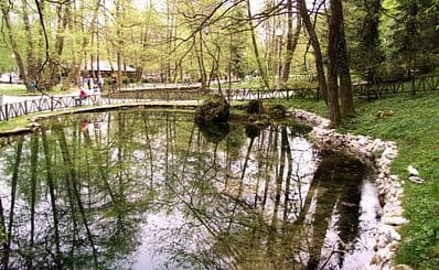 Vrelo Bosne