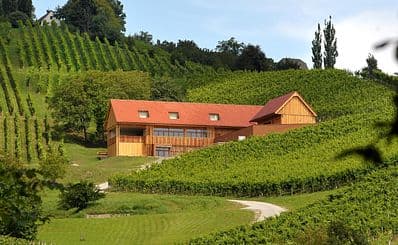 Wine Valdhuber