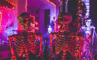 Haunt Mackay