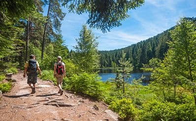 Hiking Trails