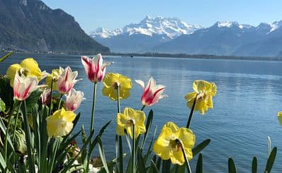 Lake Geneva