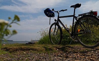 Bike The Tracks Of New Forest