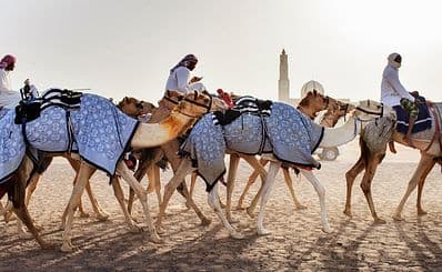 Al Marmoom