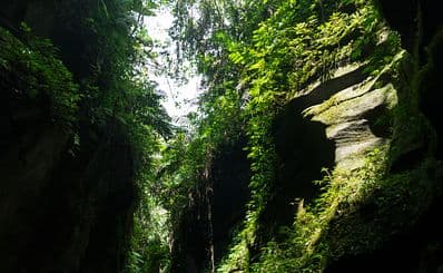 Millenium Cave