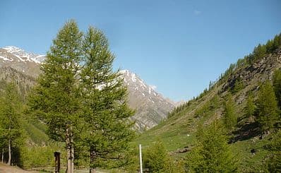 Valle Argentera