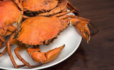 Seafood Connection