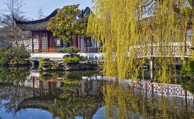 Dr. Sun Yat-Sen Classical Chinese Garden