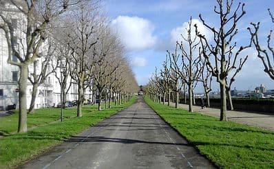 Cours Dajot