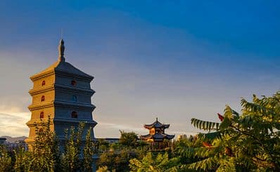 Daciensi Temple Complex and Giant Wild Goose Pagoda