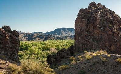 Bill Williams River National Wildlife Refuge