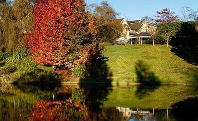 Leura