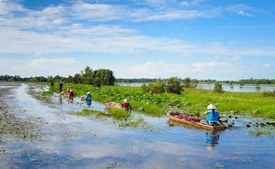 Mekong Delta