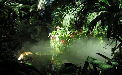 Randers Tropical Zoo