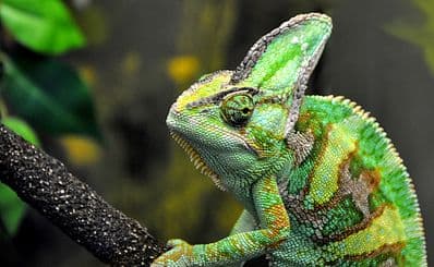 Leeds Tropical World