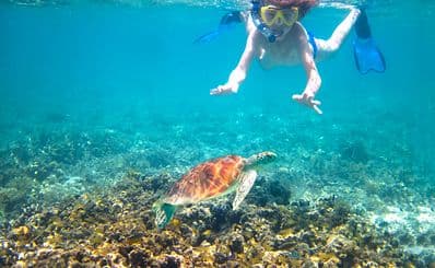 Ixtapa Adventours Tours