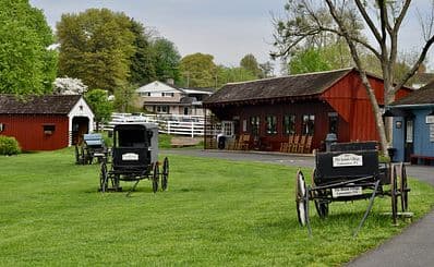Day Trip to Amish Country