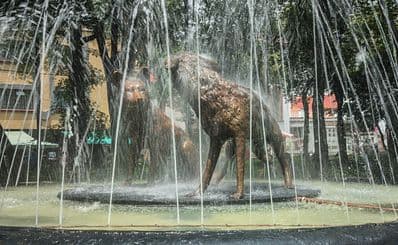 Fuente de los Coyotes in Coyoacán