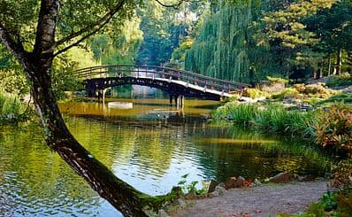 Botanical Garden