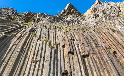 Pico de Ana Ferreira & Organ Pipes