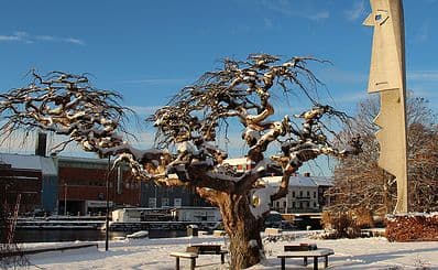 Public Art