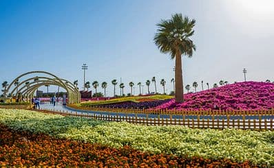 Yanbu Flower Festival