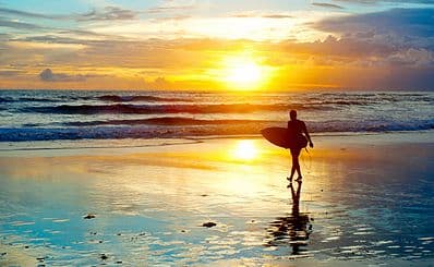 Ossies Surf Shop