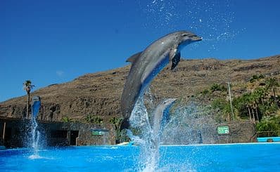 Palmitos Park