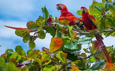 Guanacaste National Park