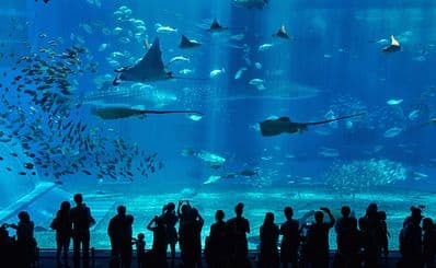 Underwater World (Qingdao Aquarium)
