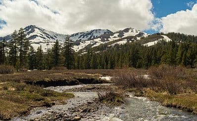 Stanislaus National Forest