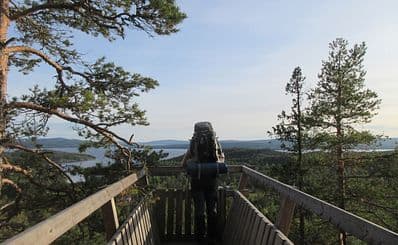 Norrfällsviken Nature Reserve