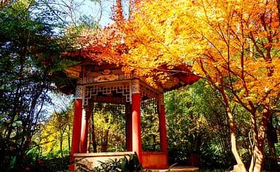 Golden Temple Park