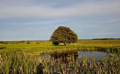 Gotska Golfklubben