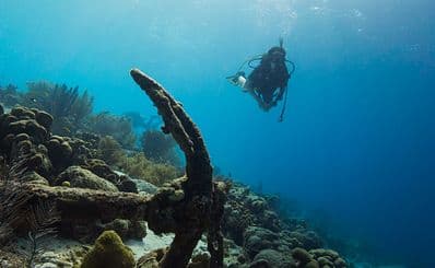 Scuba Diving