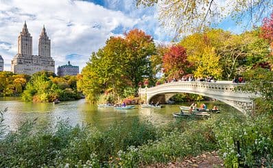 Best Time to Visit