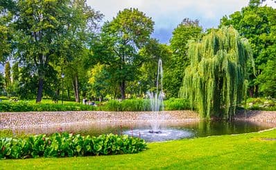 Bernardine Garden